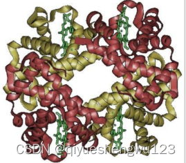 Transferrin-PEG-PMMA 转铁蛋白-聚乙二醇-聚甲基丙烯酸甲酯，F-PEG-PBA/PAE/PPS