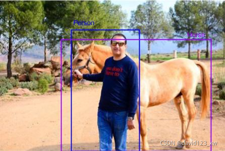 图像中标记有人和马的真实边界框