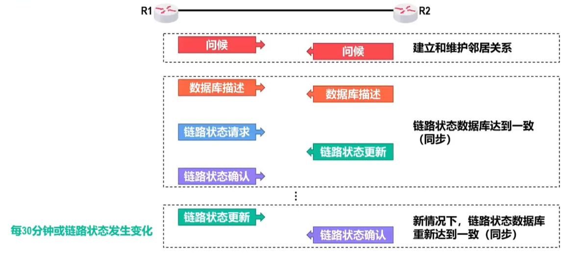 内部网关协议_路由信息协议RIP_开放路径优先OSPF协议_基本知识