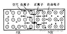 P区与N区中载流子的运动