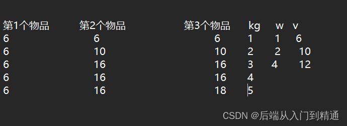 动态规划01 背包问题（算法）