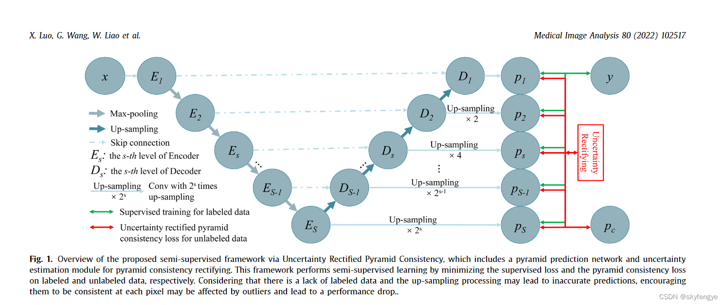 Semi-supervised medical image segmentation via uncertainty rectified pyramid consistency 半监督医学图像分割