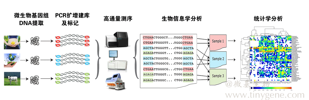 古细菌多样性分析16S rRNA