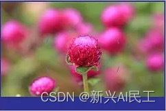 python的opencv操作记录(九)——图像清晰度计算
