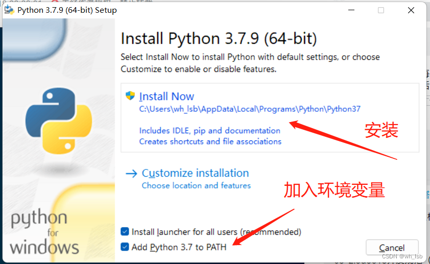 开始安装python