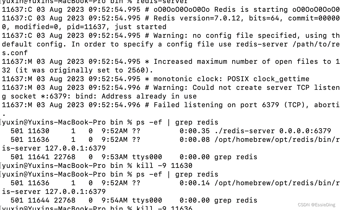 macOS install redis遇到的bug（tar包，homebrew安装，守护进程redis.conf配置）