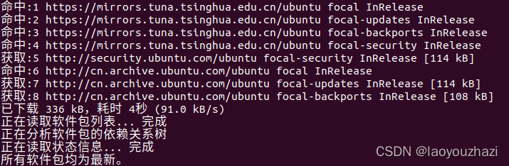 sudo apt update --fix-missing