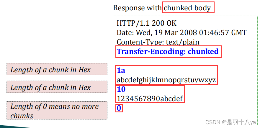 HTTP是什么？——想知道网上冲浪的奥秘吗？一文学“废”(装高手)