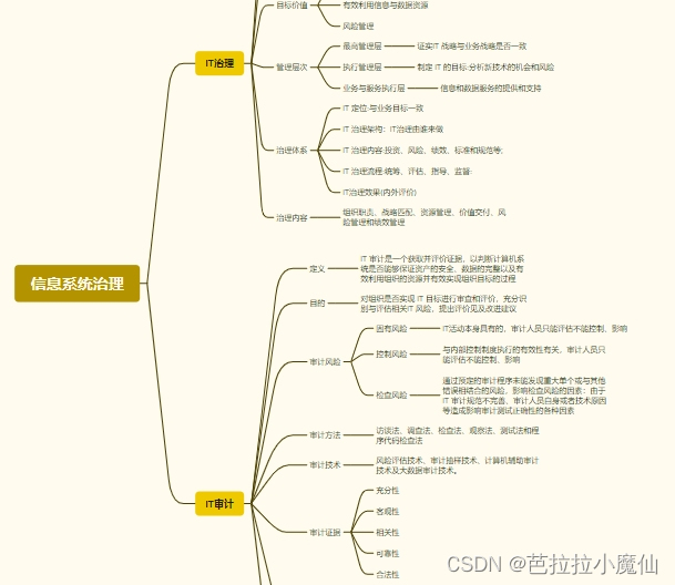 《信息系统项目管理师教程（第4版）》第3章 信息系统治理