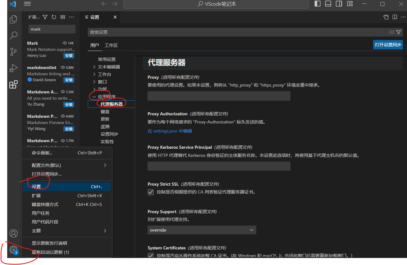 VScode商店无法访问