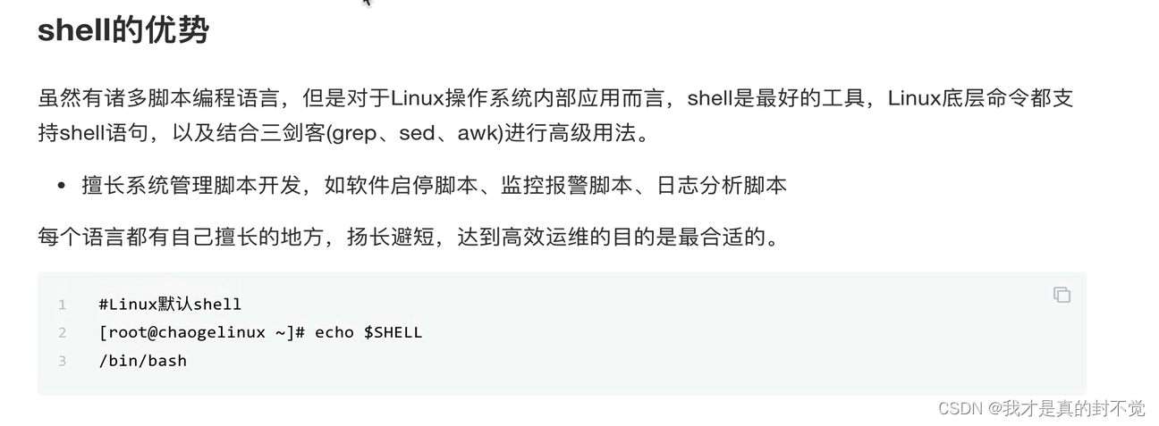 Shell最全笔记 就决定用你了