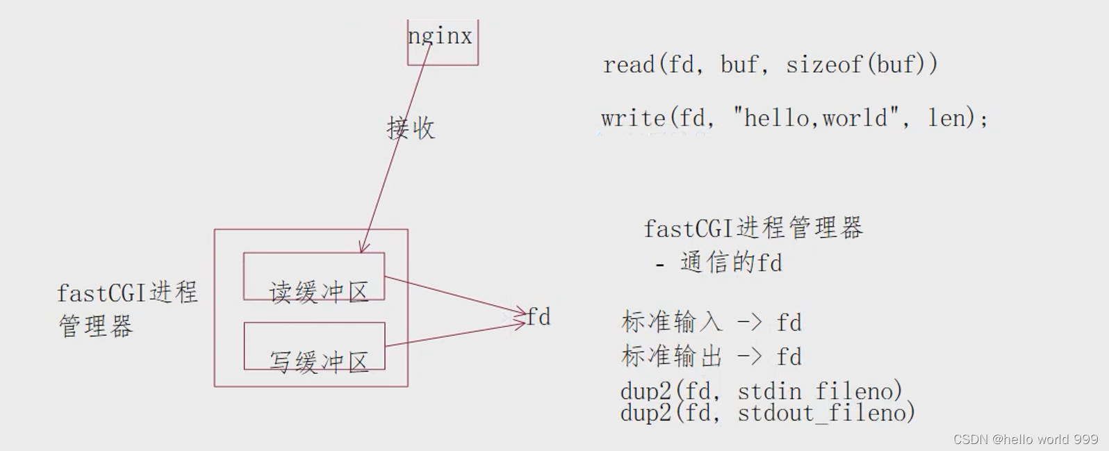 fastCGI快速上手