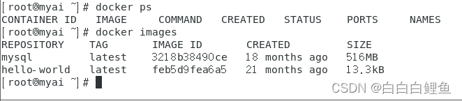 Docker安装——CentOS7.6（详细版）