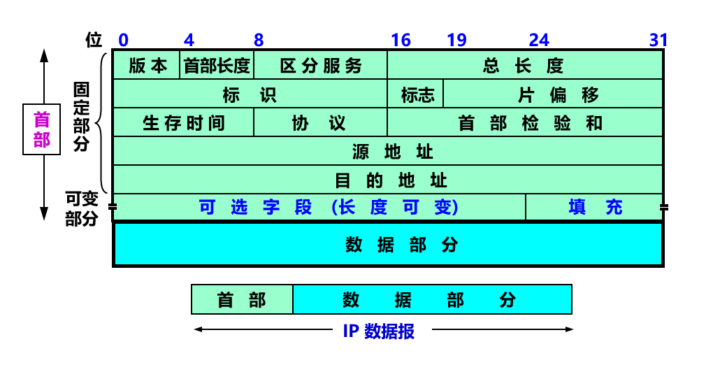 ip数据报格式_ip数据报的格式-csdn博客