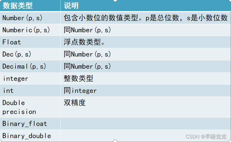 其他数值类型