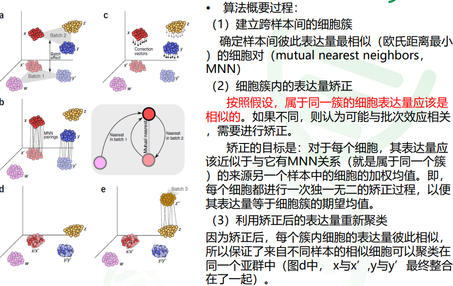 04.13【读书笔记】|10x单细胞转录组分析流程介绍