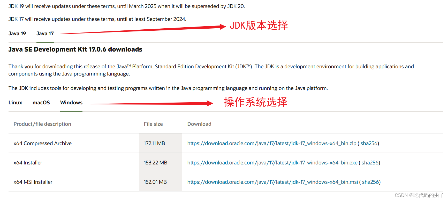 [Java]Java编译环境的下载安装教程（Windows）「终于解决」