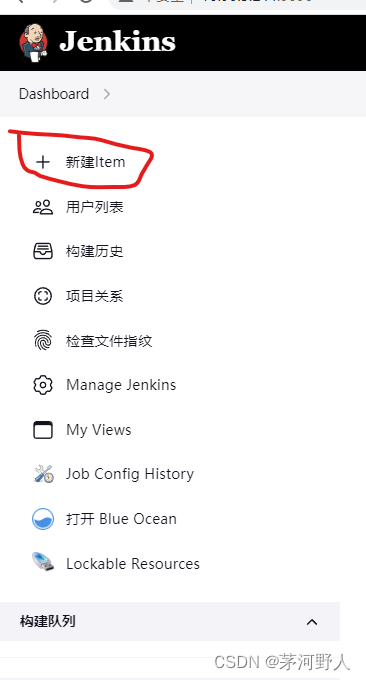 JAVA开发运维（Jenkins中踩的坑）