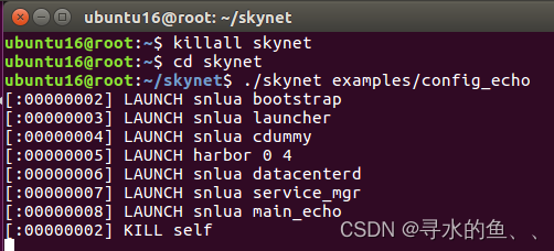 【从零开始学Skynet】基础篇（四）：网络模块常用API
