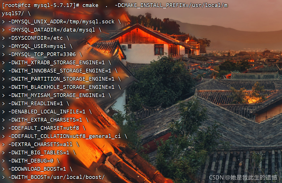 在这里插入图片描述