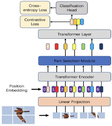 [AAAI 2022] TransFG: A Transformer Architecture for Fine-grained Recognition