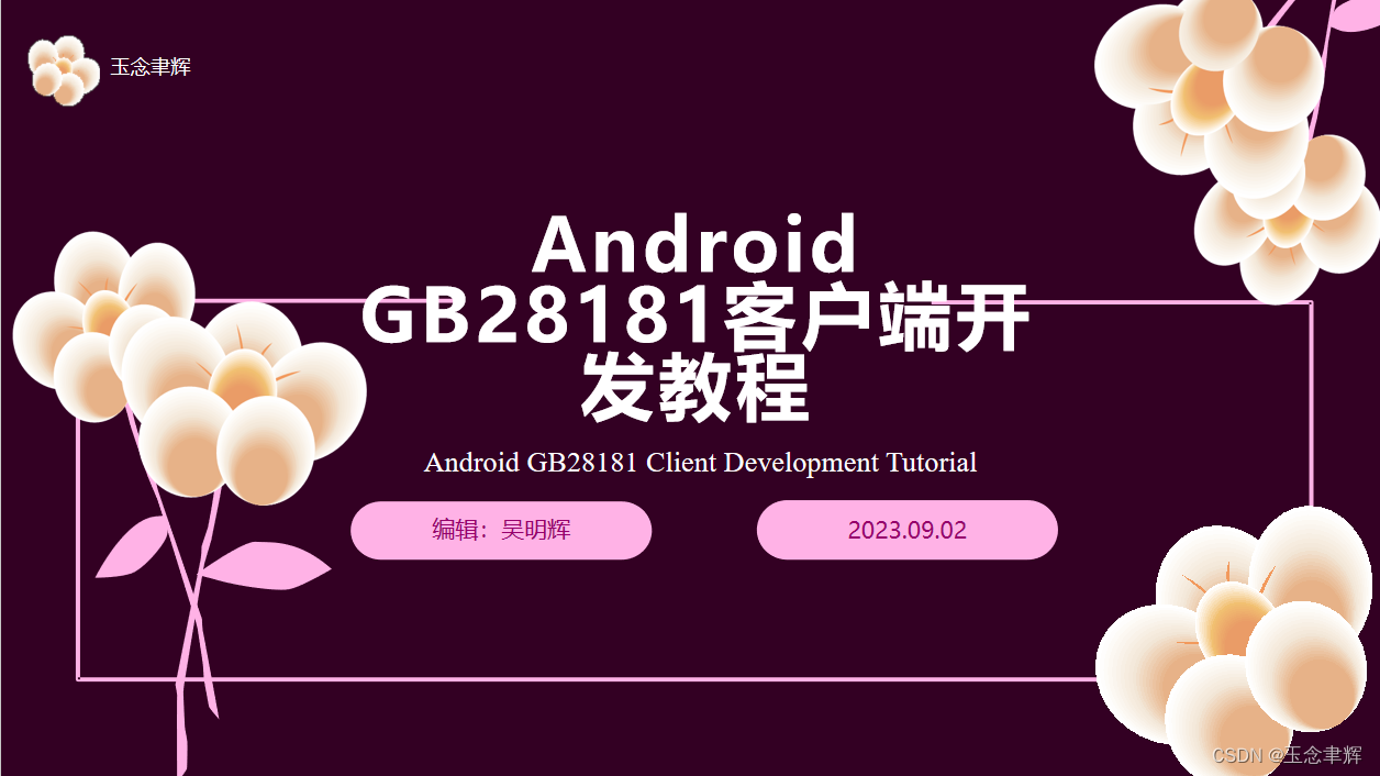 Android GB28181客户端开发（1）：GB28181协议简介