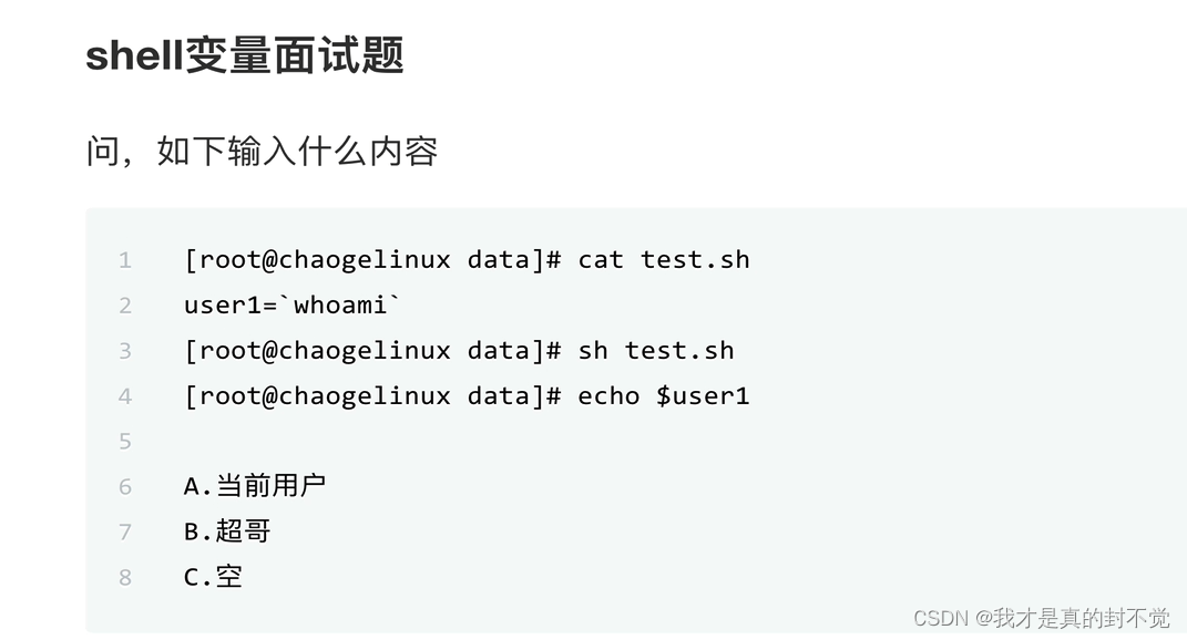 Shell最全笔记 就决定用你了