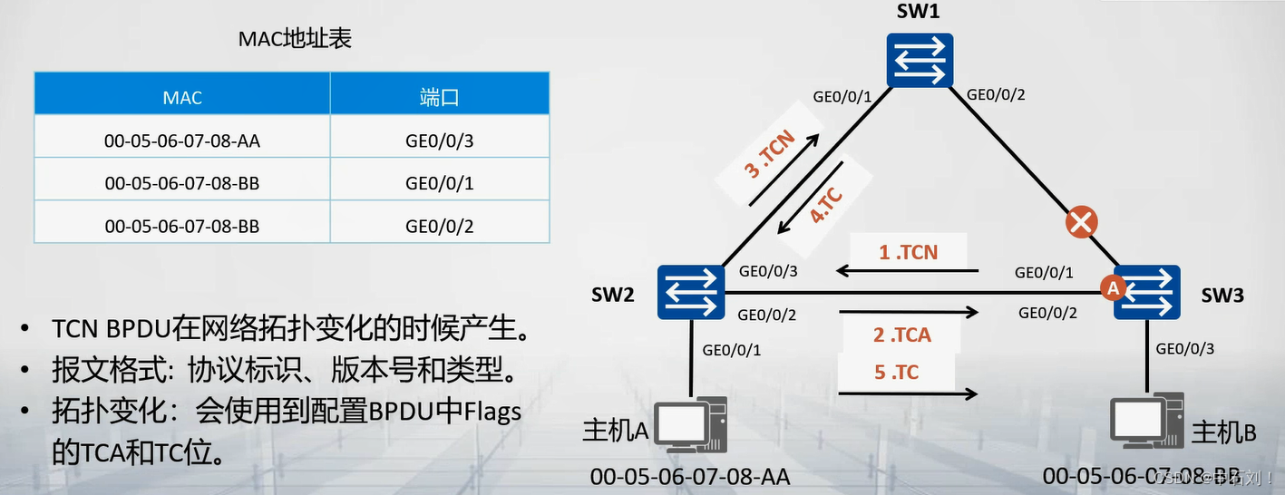 STP协议基础