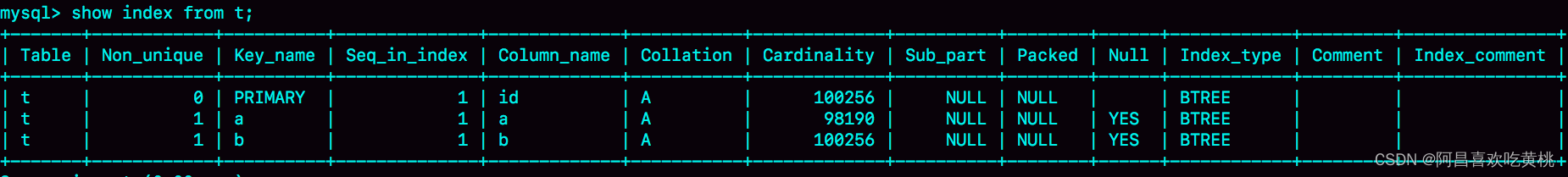 图 4 表 t 的 show index 结果