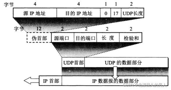 UDP首部