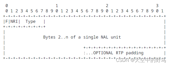 RTP payload format for single NAL unit packet