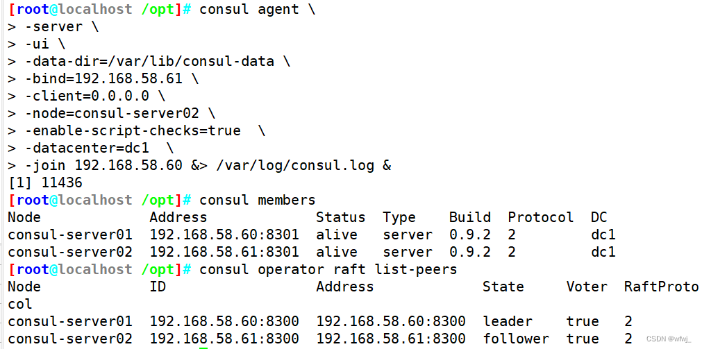 Linux6.16 Docker consul的容器服务更新与发现