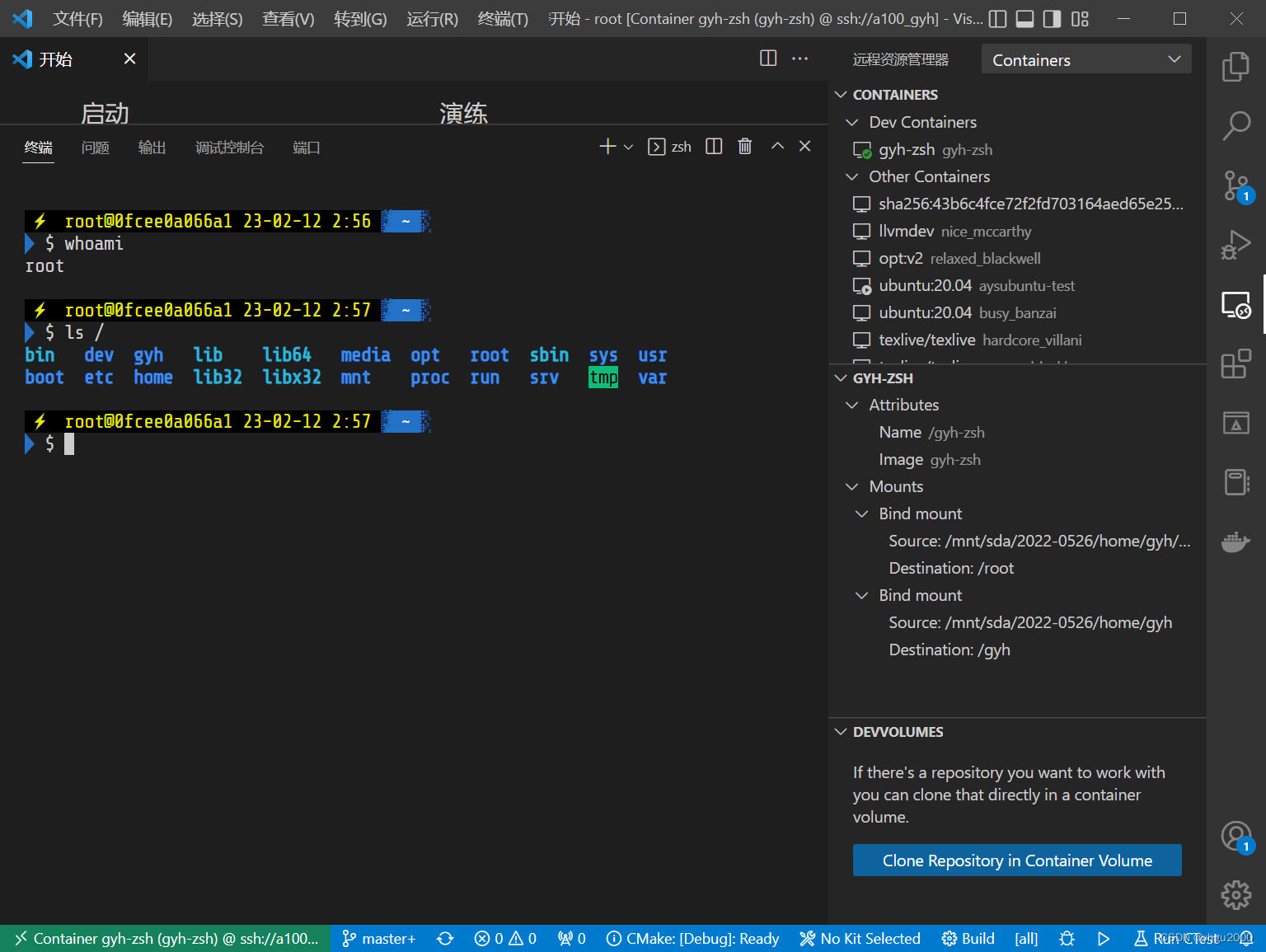 用VSCode在共用服务器上使用连接自己的Docker容器进行开发