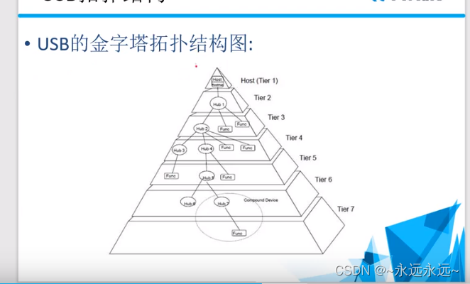 usb 的拓扑结构