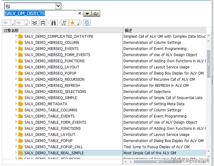 SAP ABAP SALV DEMO