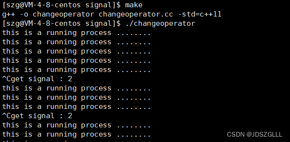 Linux：进程信号