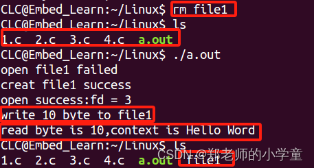 Linux系统编程——文件的写入及读取