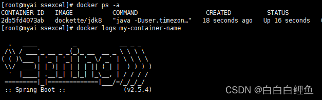 Docker部署(5)——使用docker run命令部署运行jar项目