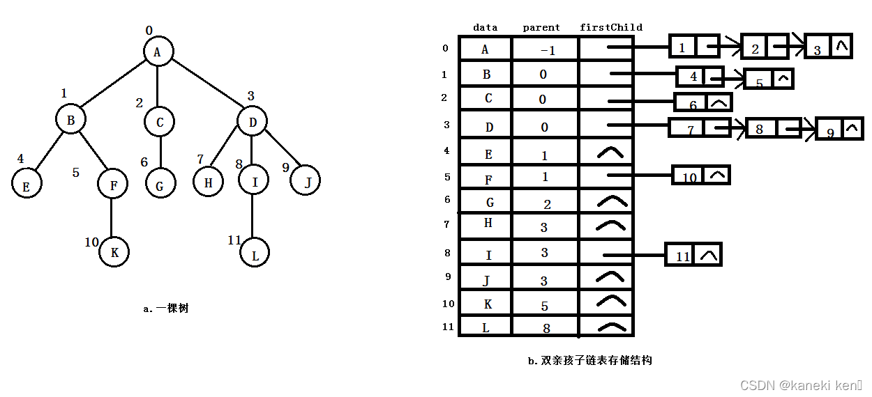 双亲孩子链表存储结构示意图