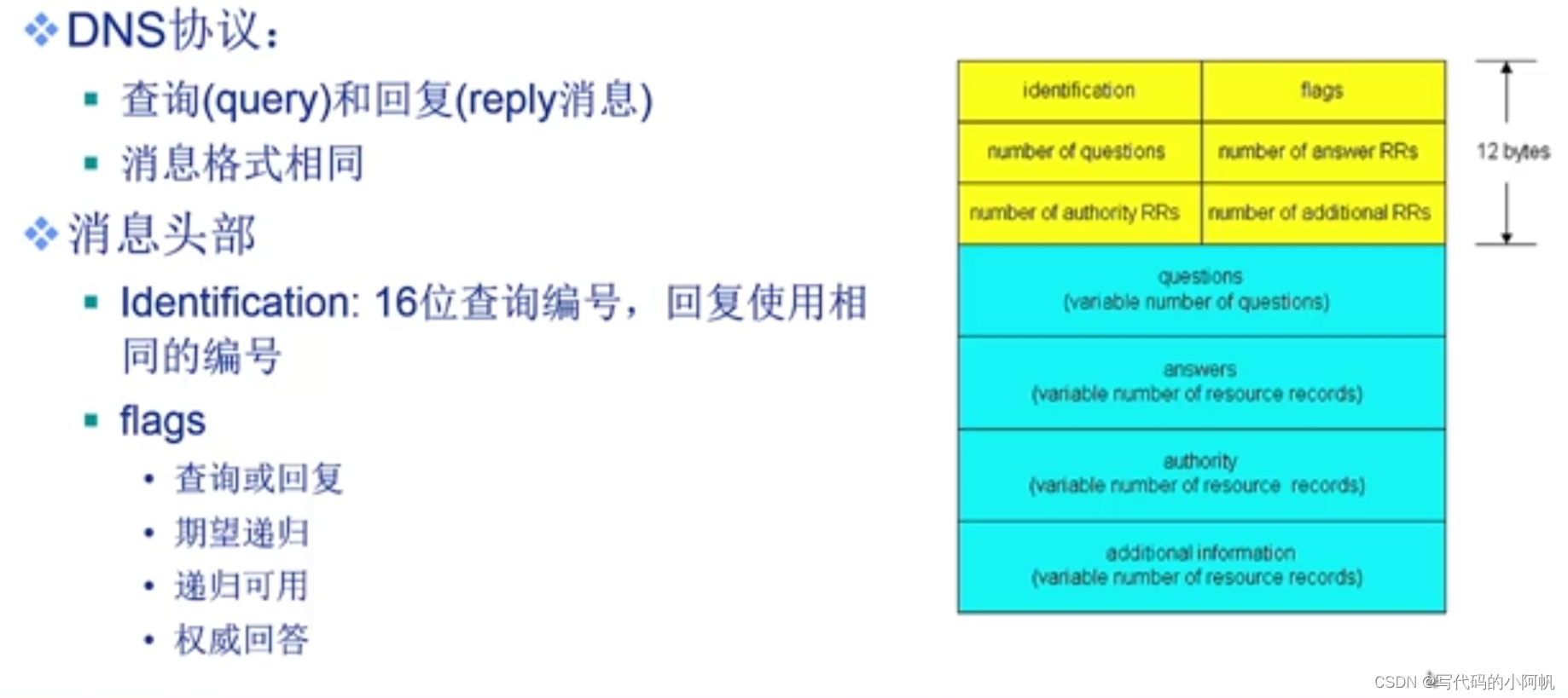 dns消息格式