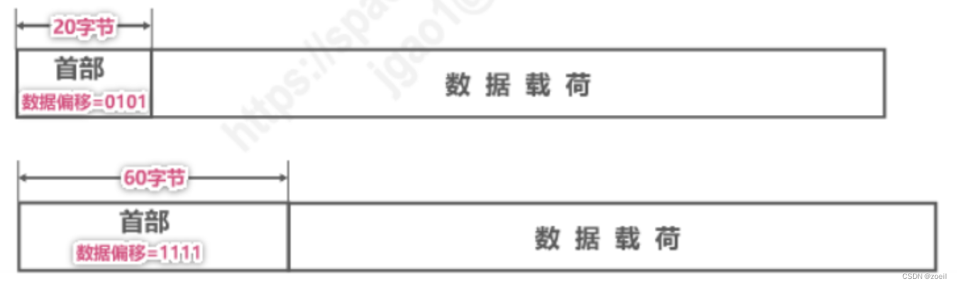 计算机网络-运输层