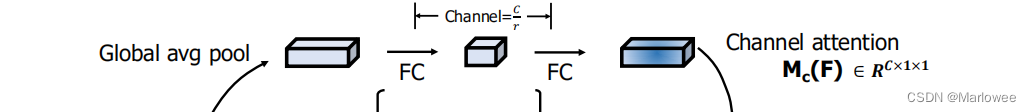 Channel attention branch