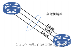 逻辑链路