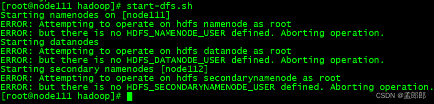 大数据学习初级入门教程（十六） —— Hadoop 3.x 完全分布式集群的安装、启动和测试
