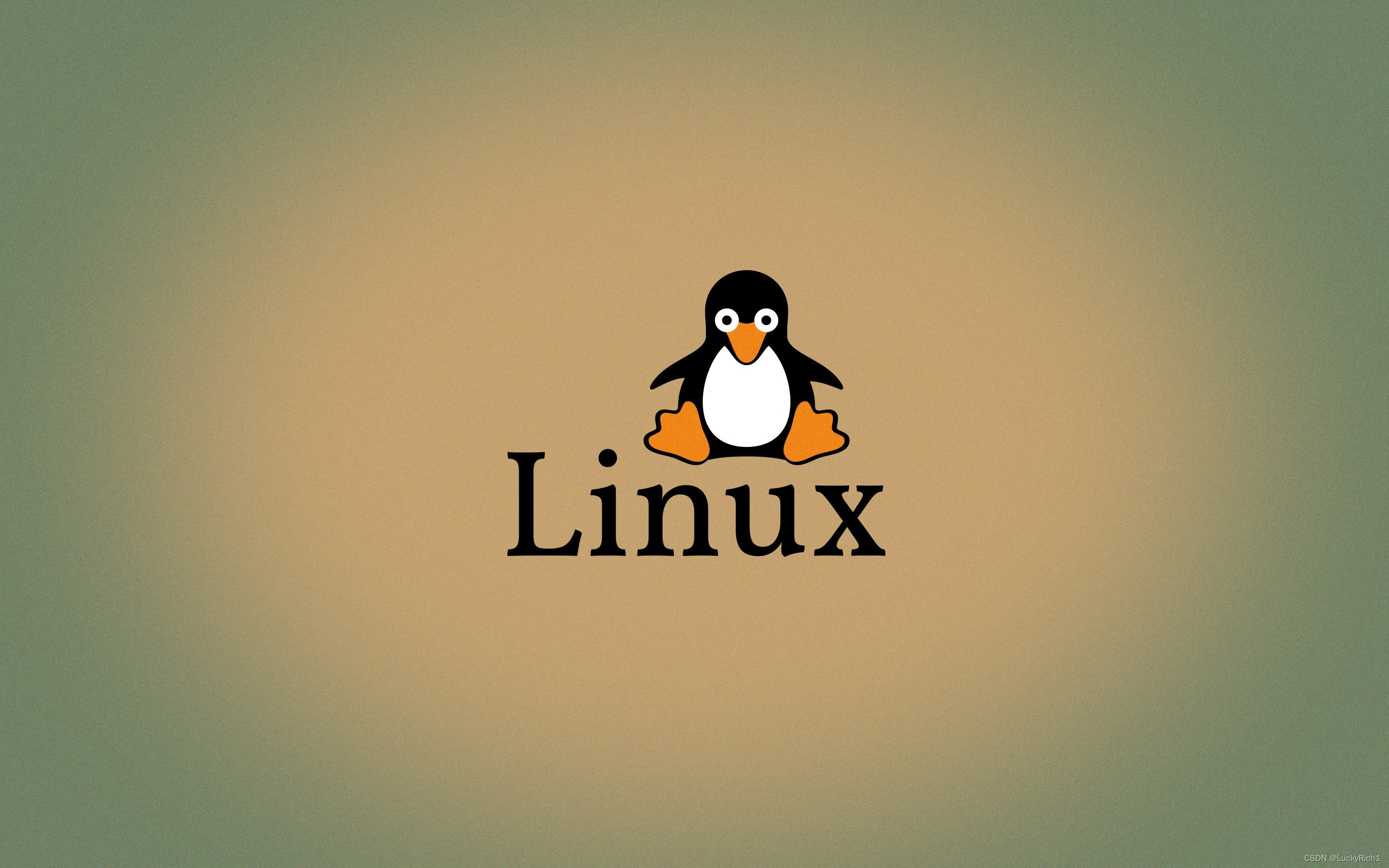 Linux下的基本指令