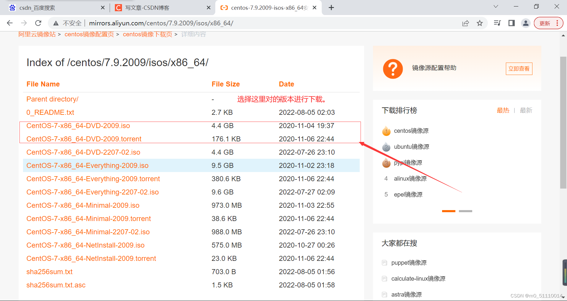 Linux的安装步骤_linux官网安装-CSDN博客