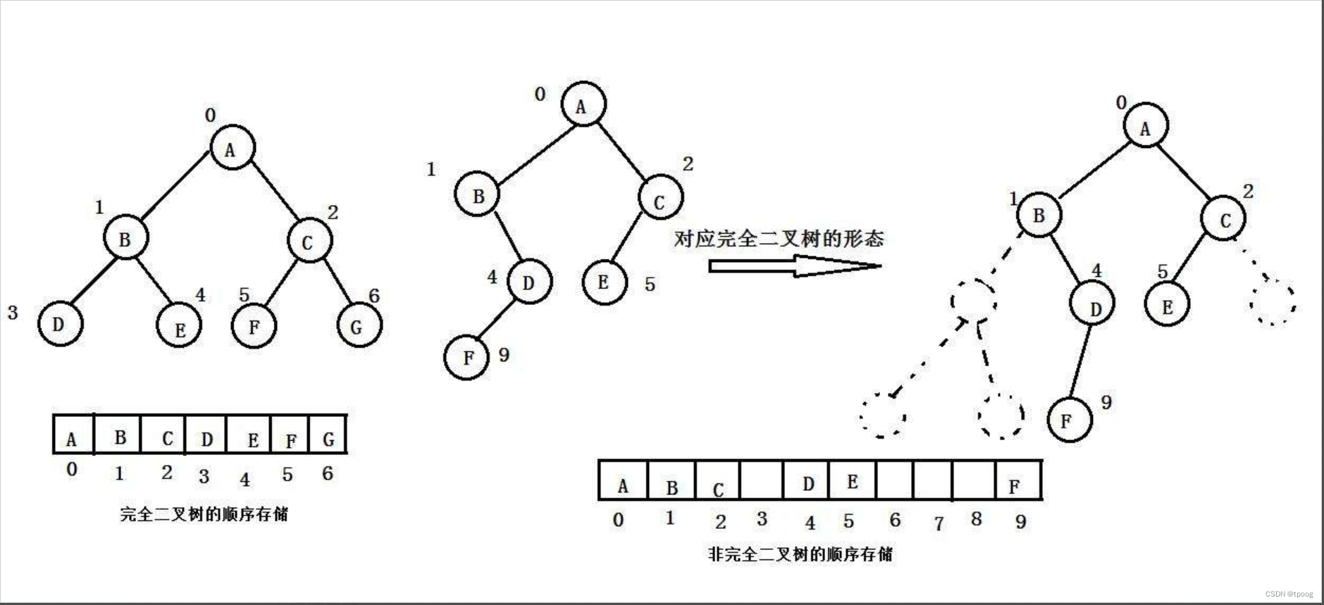 初识树结构和二叉树