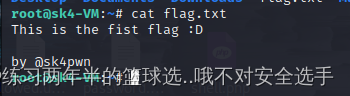 vulnhub serial讲解