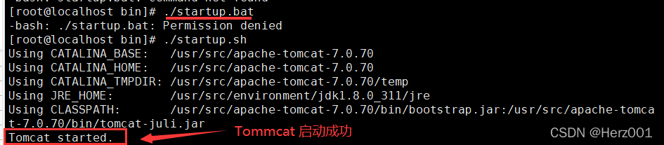 启动 tommcat