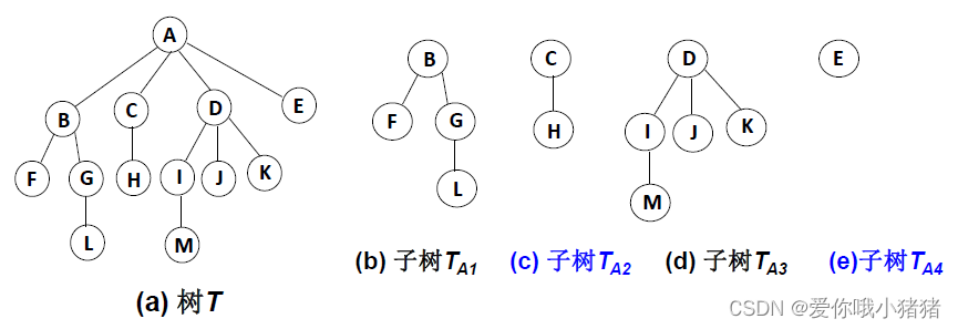 数据结构基础:P3.1-树(一)--->树与树的表示_一棵度为的树有n个节点,若每个节点直接用m个链指向相应的儿子,则表示这棵树所需要-CSDN博客